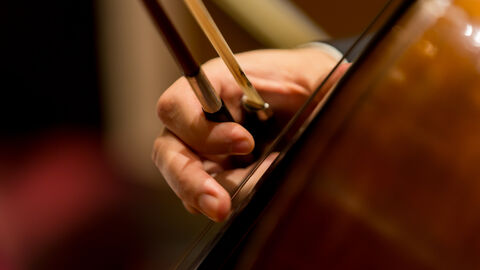 9. Europäischer Salon mit Österreich Eine männliche Hand berührt das Musikinstrument Violine