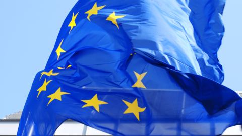 EU-Flagge EU-Flagge