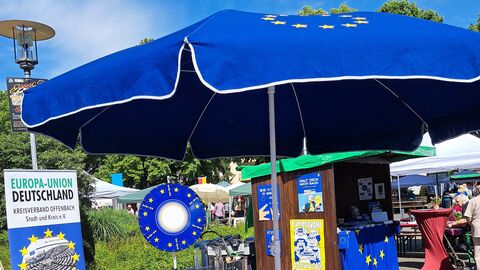 Infostand auf dem Europafest Es ist ein Infostand mit Materialien bei schönem Wetter zu sehen.